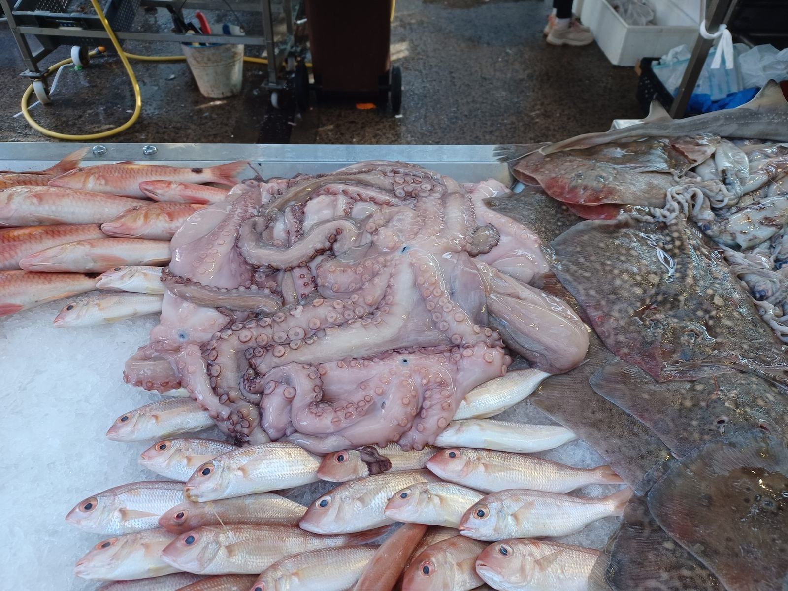 St George's Market, East Bridge Street, Belfast