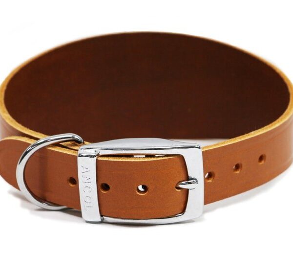 Greyhound Collar Tan S4-5-34-43cm
