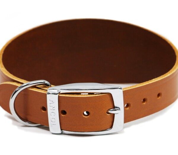 Greyhound Collar Tan S2- 30-34cm