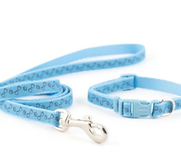 Sml Bite Paw & Bone Puppy Collar & Lead Blue