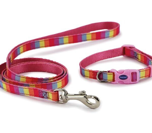 Rainbow & Pink Collar & Lead Set 20-30cm