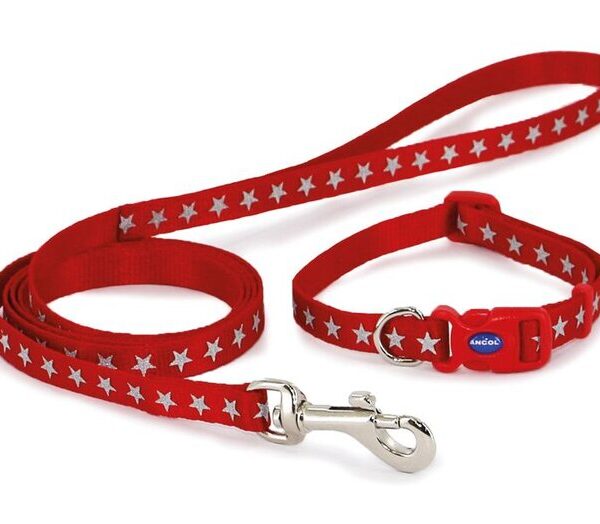 Reflective Star Red Collar Lead Set20-30
