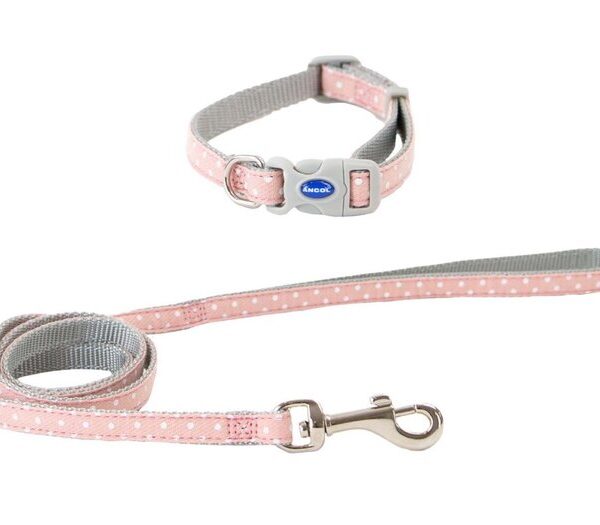 Small Bite Polka Collar Lead Set Rose