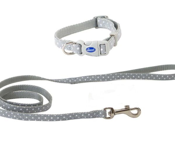 Small Bite Polka Collar Lead Set Pebble