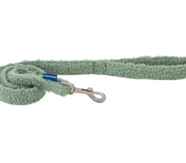 Teddy Bear Lead Sage 100cm X 1.9cm