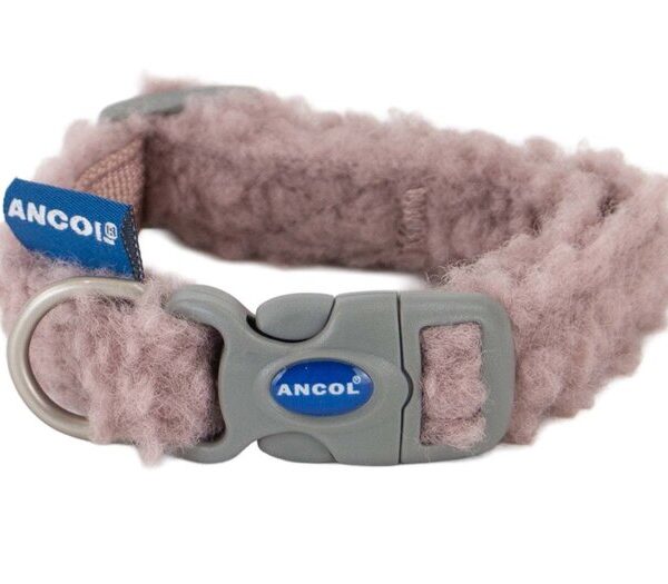 Teddy Bear Adj Collar Rose Med 30-50cm
