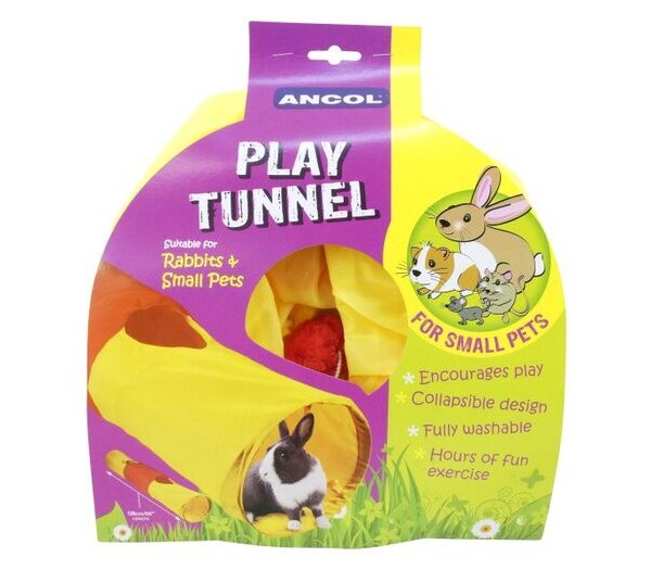 Ancol Rabbit Tunnel