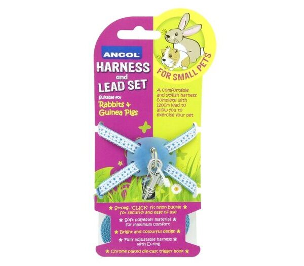 Rabbit Harness & Lead Set Blue