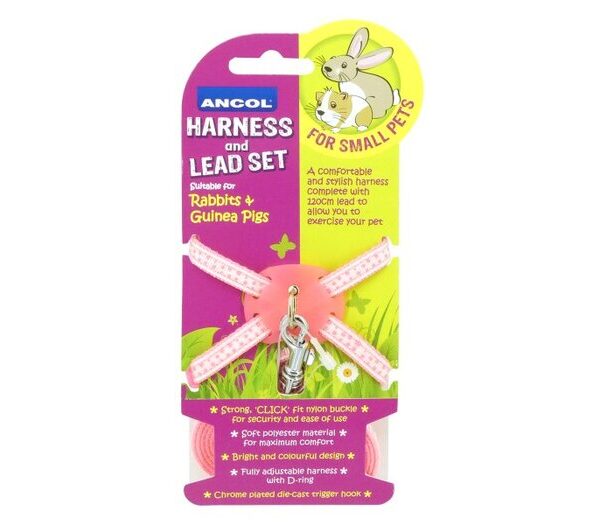 Rabbit Harness & Lead Set Pink