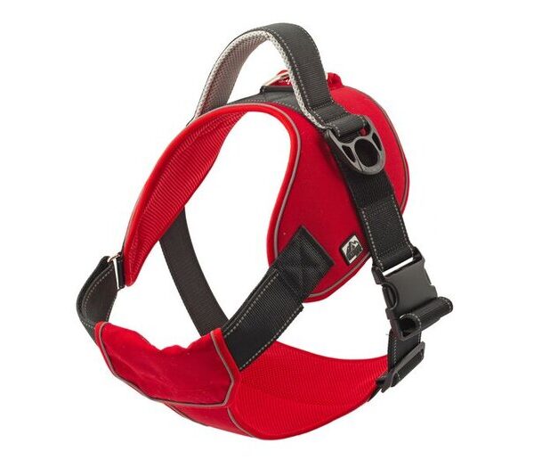 Disc Oct 26 Extr Harne Red XL (87-120cm)