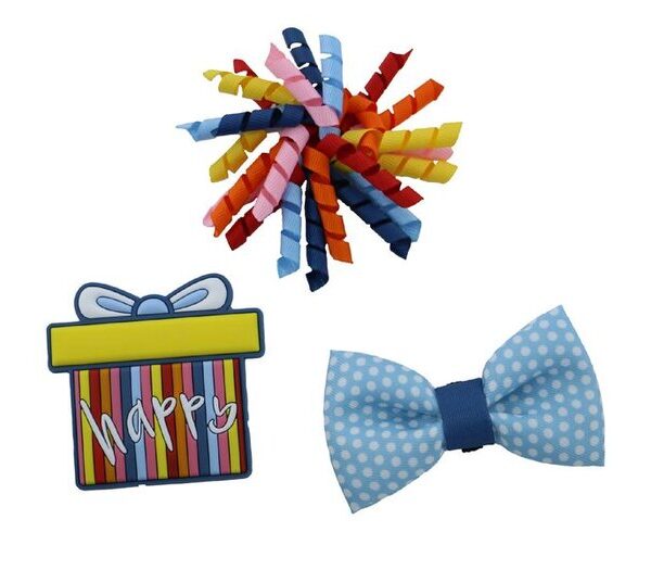 Pawty Time Present Accessory Set
