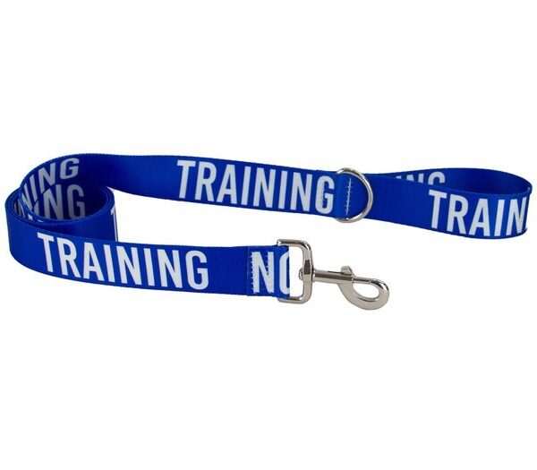 40mm Awareness Lead Blue - Training