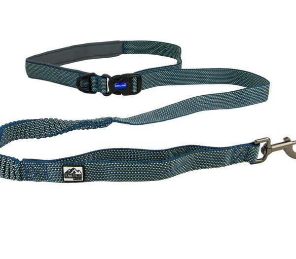 Extreme+ Shock Absorb Run Lead 180x2.5cm