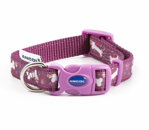 Purple Bone Nylon Adj Collar S1-2