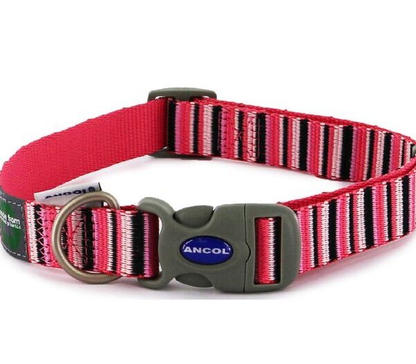 Hot Pink Stripe Adj Collar Size 5-9