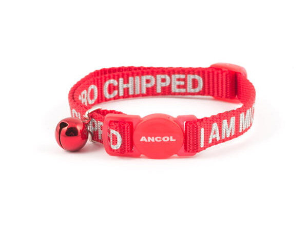 I Am Micro Chipped Safety Cat Collar