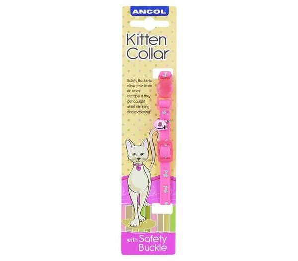 Hi-Vis Safety Kitten Collar Pink