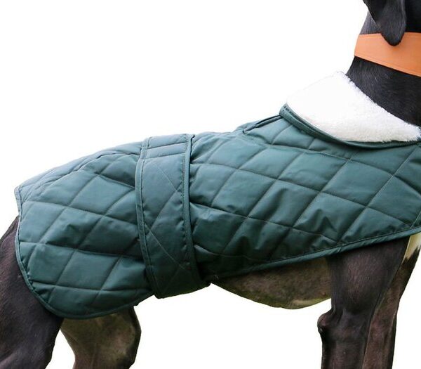 Quilted Hound Coat 43cm