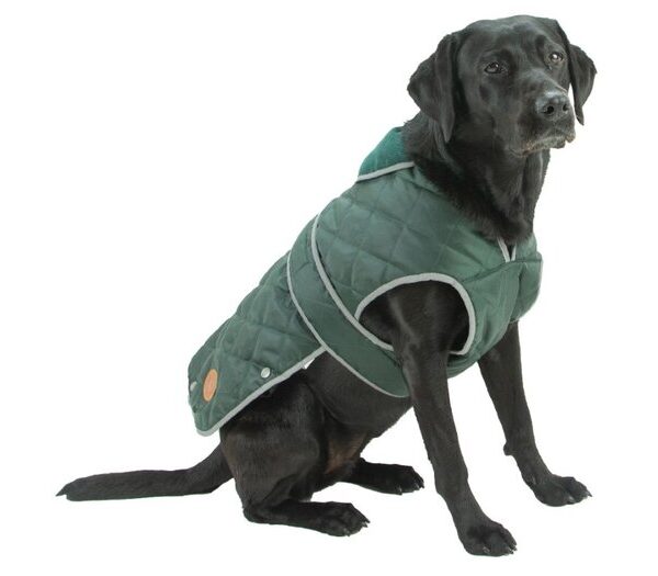 Heritage Green Quilted Coat L