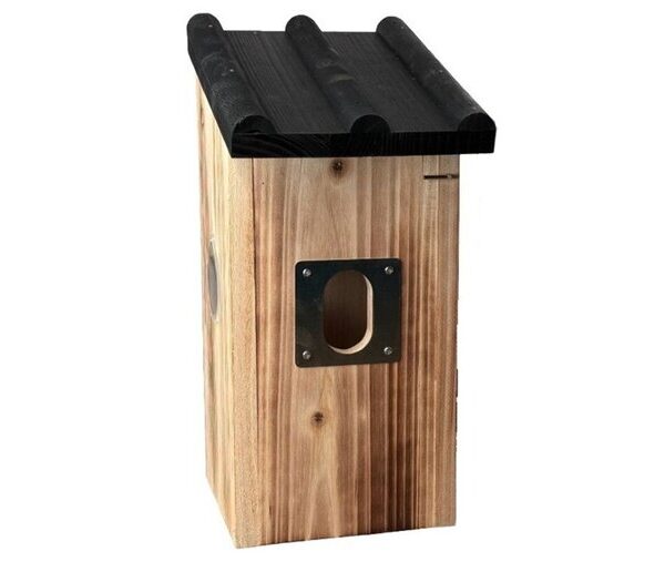 Fir Nesting Box with Solar Camera