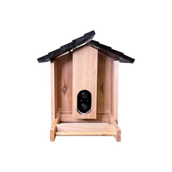 Fir Bird Feeder with Solar Camera