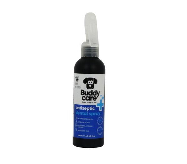 Buddycare 200ml Antiseptic Dental Spray