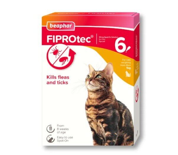 NI Fiprotec Spot on Cat 6 Treatments