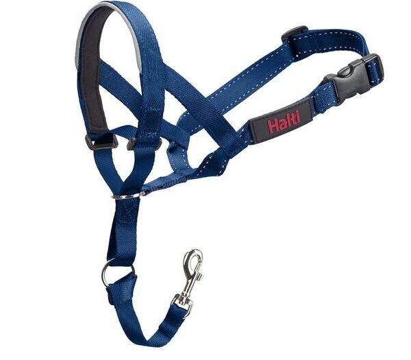 HALTI Headcollar Cobalt Blue Size 4