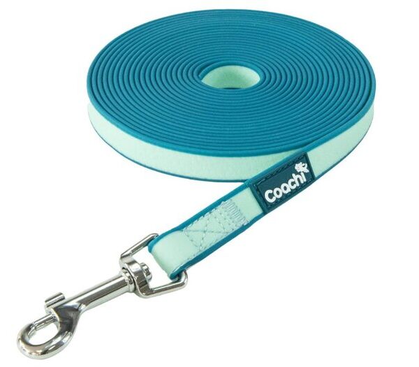 Coachi Pup & Mini Training Line Teal