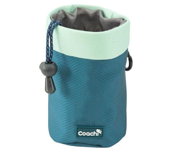 Coachi Pup & Mini Treat Pouch Teal Mint