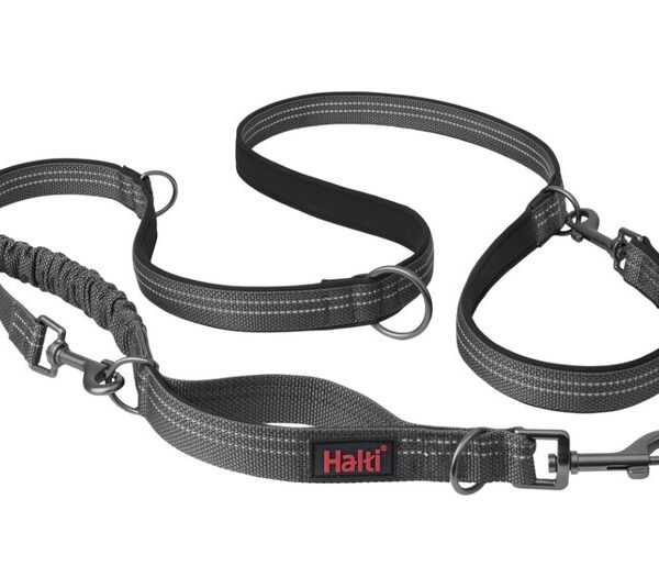 HALTI Anatomy Multi Lead Grey Small
