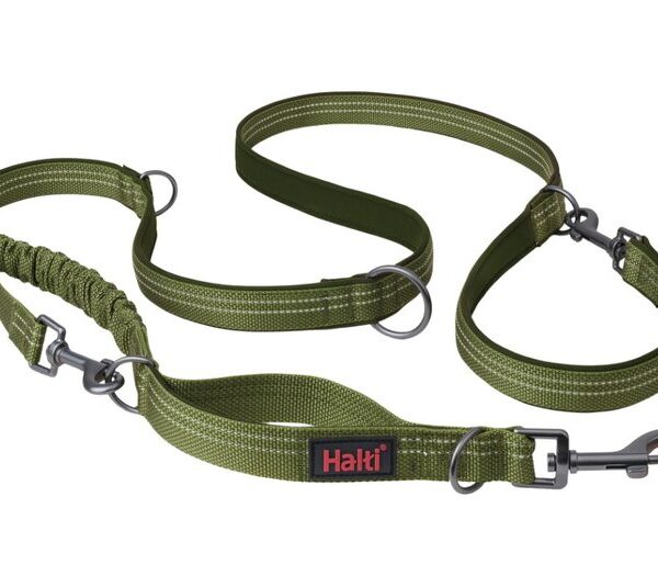 HALTI Anatomy Multi Lead Green Small