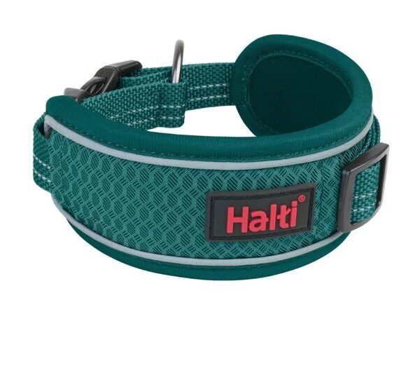 HALTI Anatomy Collar Teal Large
