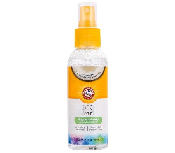 Arm & Hammer Coconut Mint Dental Spray 4oz