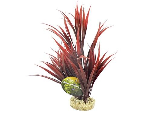 ADS Tipped Sword Plant 25cm