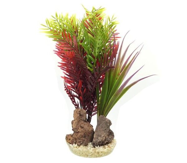 ADS Palm Rock 24cm