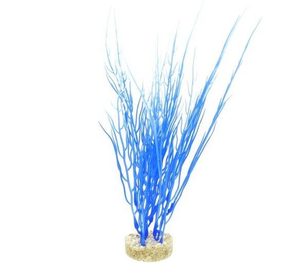 ADS Acorus Blue Ocean 26cm