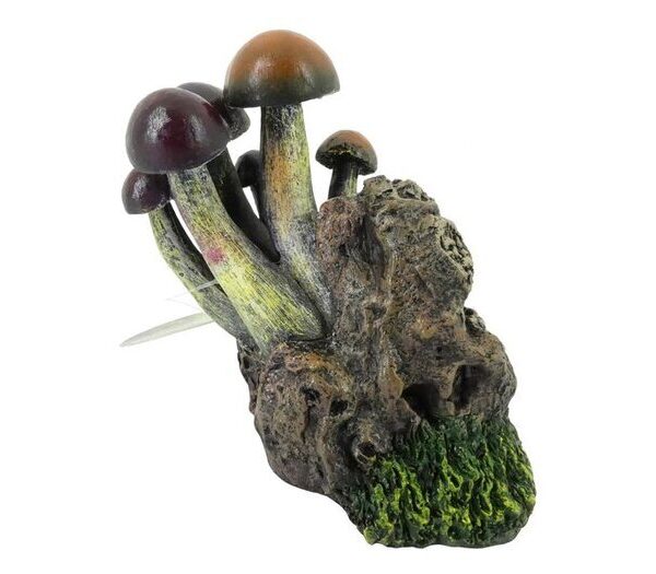 Toadstools on Rocks 14cm