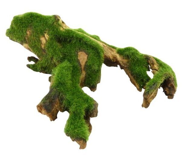 Velvet Grassed Wood Medium
