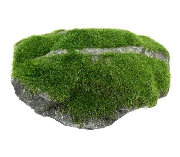Velvet Grassed Rock Medium