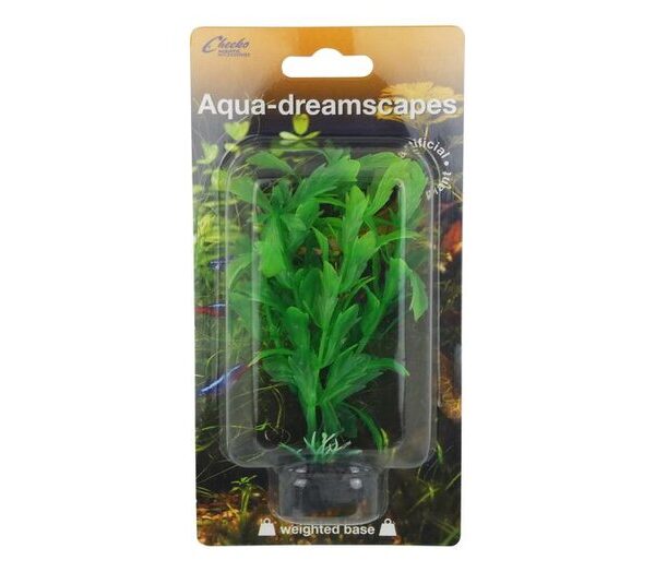 Water Hyssop 4"/10cm