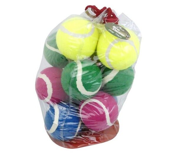 Playtime 12pk Tennis Balls