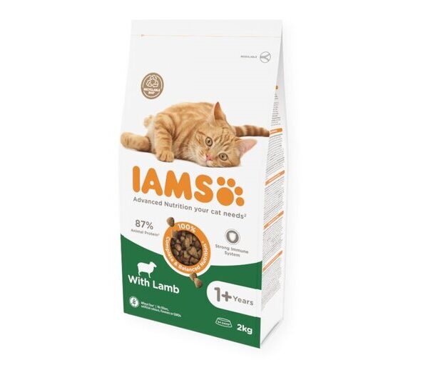 IAMS Cat 2kg Adult Lamb