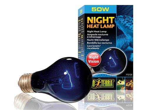 EXO Terra Night Heat Lamp 50w