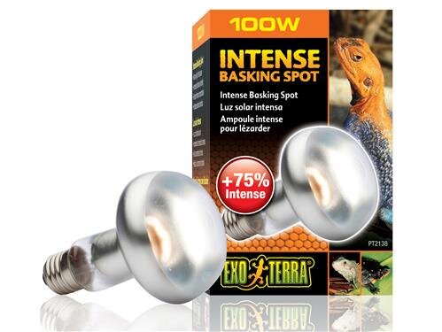 EXO Terra Intense Basking Spot 100w