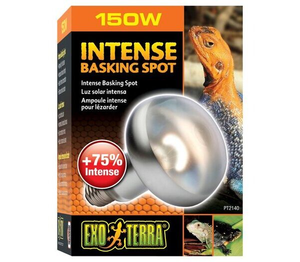 EXO Terra Intense Basking Spot 150w