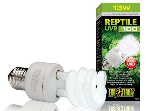 EXO Terra Uvb100 Compact Lamp T10 13w