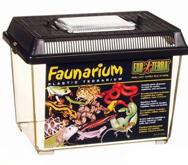 EXO Terra Std Faunarium Small