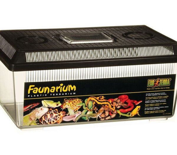 EXO Terra Flat Faunarium Medium