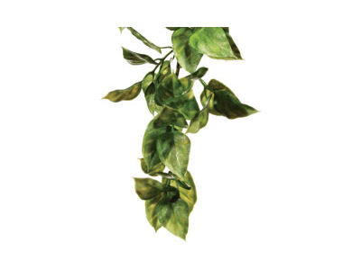 EXO Terra Plant Lge Amapallo